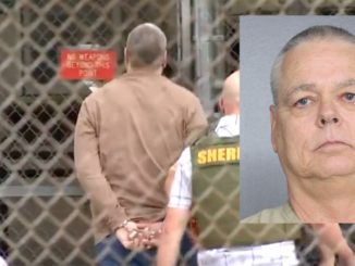 Scot Peterson, former Broward County deputy sheriff, has been arrested and charged over his failure to act during the Parkland mass shooting.