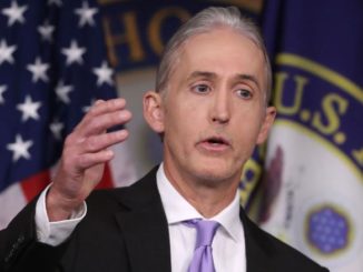 The FBI were giving different intelligence briefings to Trump than to Clinton, Trey Gowdy has revealed