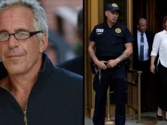 Jeffrey Epstein shipped himself a 53-pound shredder and a carpet and tile extractor, according to maritime records.