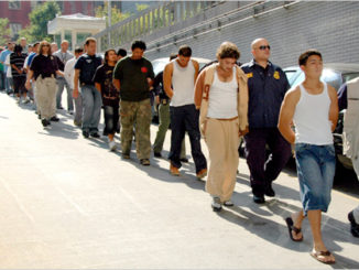 ICE is ready to detain and deport approximately one million illegal aliens from the United States, according to the acting Director of USCIS.