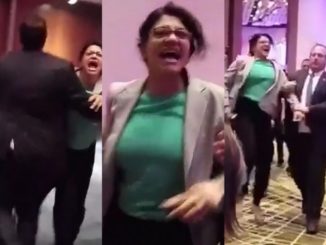 Video of Rep. Rashida Tlaib being ejected whilst screaming at 2016 Trump event resurfaces