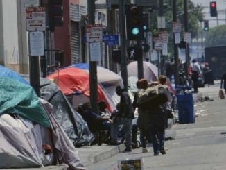 Dr. Drew says outbreak of bubonic plague imminent in Los Angeles
