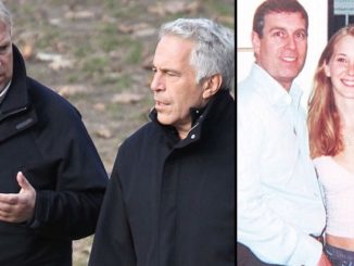 https://thepeoplesvoice.tv/billionaire-pedophile-jeffrey-epstein-arrested-child-sex-trafficking/