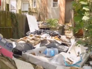 Video proves Baltimore is a rat-infested dump