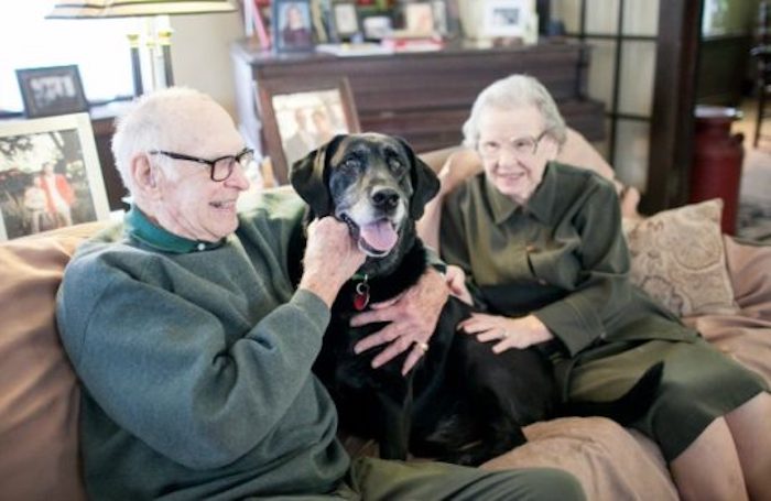 "White people love dogs so much because deep down they miss owning slaves," according to a viral tweet by liberal twitter user.