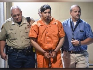 An illegal alien has pleaded guilty to strangling and drowning a 10-year-old girl after kidnapping her in Cherokee County, Texas.