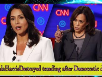 Kamala Harris Tulsi Gabbard