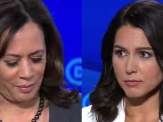 Woke Twitter users accuse Tulsi Gabbard of working with Russia to bring down Kamala Harris