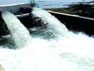 Nestle plan to take 1.1m gallons of water per day at natural springs in Florida