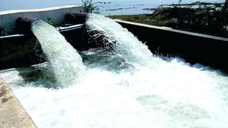 Nestle plan to take 1.1m gallons of water per day at natural springs in Florida