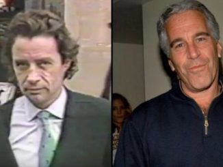 Jeffrey Epstein's millionaire friend and fixer who had key information on his case has gone missing