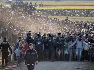 Citizens Slovenia have formed a civil defense force to stop illegal migrants entering their country