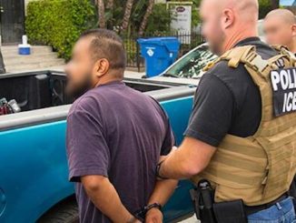 Acting ICE Director Matthew Albence announced a recent operation captured dozens of illegal immigrants with a record of child sex offenses.