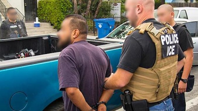 Acting ICE Director Matthew Albence announced a recent operation captured dozens of illegal immigrants with a record of child sex offenses.