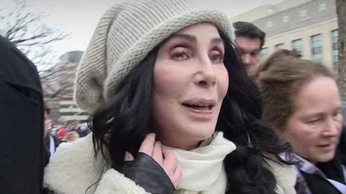 Cher says Nancy Pelosi should be our President, not the whore Trump