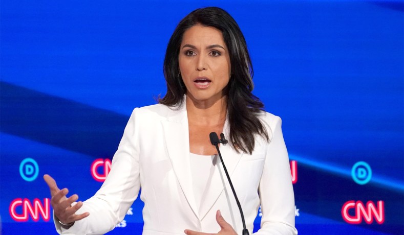 Hawaii Rep. Tulsi Gabbard said CNN and the New York Times are "totally despicable" for smearing her as a Russian asset.