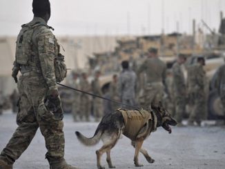 The military canine that was injured during the U.S. military operation that killed Islamic State (ISIS) leader Abu Bakr al-Baghdadi "is fine and has returned to duty," the U.S. government announced Monday.