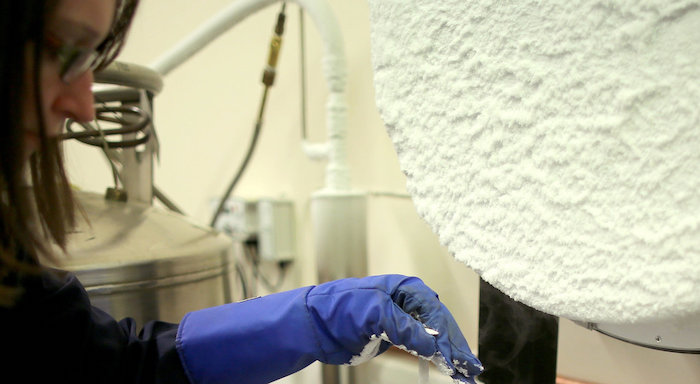 World's first HIV-positive sperm bank opened in New Zealand