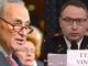 Chuck Schumer accidentally outs Lt. Vindman as on of Schiff's whistleblowers