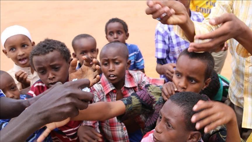 Crisis-torn Zimbabwe is on the brink of "manmade starvation" with most households unable to obtain enough food to meet basic standards, a UN envoy has said.