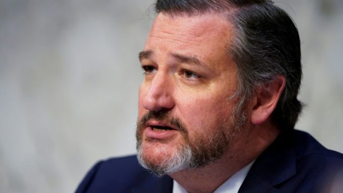 Ted Cruz slams Big Tech as a threat to democracy