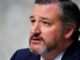 Ted Cruz slams Big Tech as a threat to democracy