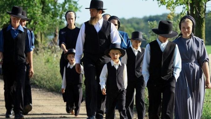 The Lenawee County Health Department in Michigan has condemned a number of traditional “old order” Amish family homes and is now asking a court to authorize the demolition of Amish property.