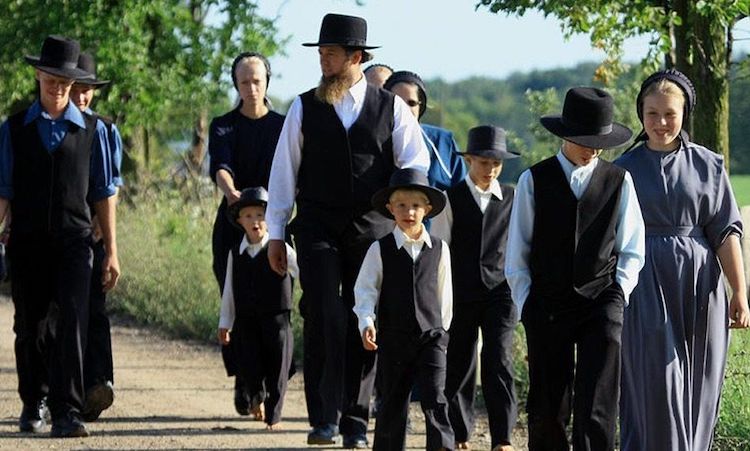 The Lenawee County Health Department in Michigan has condemned a number of traditional “old order” Amish family homes and is now asking a court to authorize the demolition of Amish property.