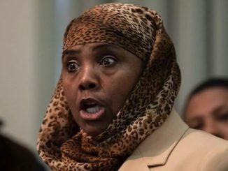 Movita Johnson-Harrell, the first Muslim elected to the Pennsylvania House of Representatives, has been charged by prosecutors for allegedly stealing over half a million dollars from a charity that helps the mentally ill.