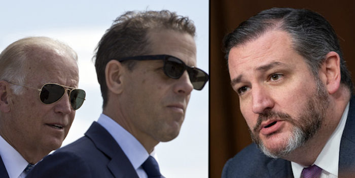 Ted Cruz suggests that Joe and Hunter Biden should be forced to testify in upcoming Senate impeachment trial