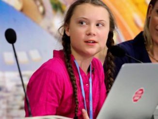 A Facebook software update glitch allowed users to see that Greta Thunberg's father and a UN delegate have been posting under her name.