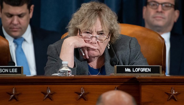 Democrat House impeachment manager admits trial is all about the 2020 election