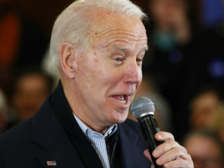 Joe Biden calls New Hampshire voter lying, dog-faced pony soldier