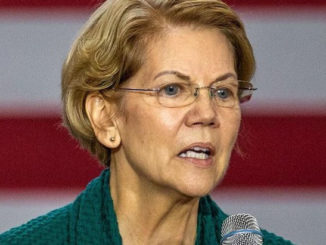 Elizabeth Warren blurs out 'Chinese virus' from President Trump's coronavirus speech