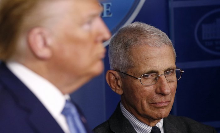 Dr. Anthony Fauci has slammed the way President Donald Trump is conducting his daily coronavirus press conferences, complaining about the number of times he has to tell President Trump facts to get his point across, and stating 'I can't jump in front of the microphone and push him down.'
