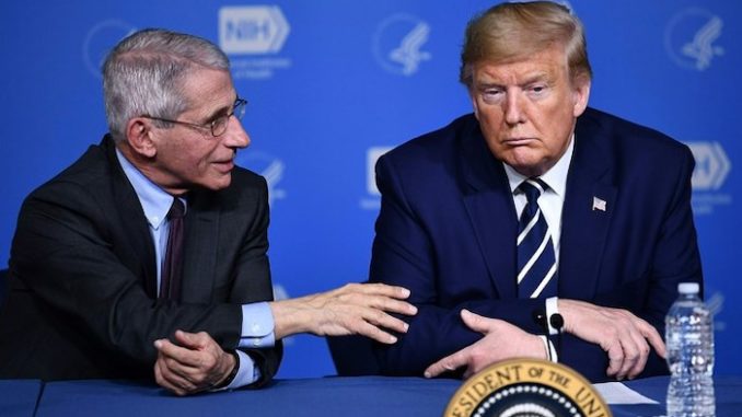 Dr. Anthony Fauci says USA is ahead of the curve on coronavirus thanks to President Donald Trump