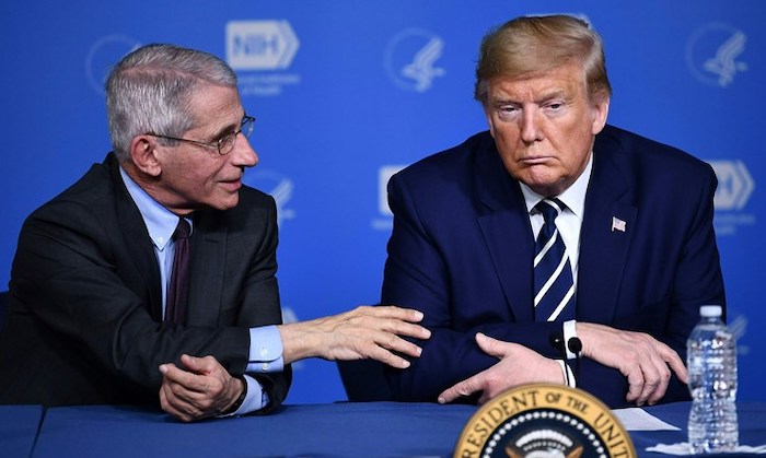 Dr. Anthony Fauci says USA is ahead of the curve on coronavirus thanks to President Donald Trump