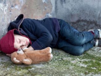 An investigation is underway in Berlin's City Hall to find out why authorities placed homeless and troubled children with known pedophile foster parents.
