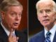 During an interview with Sean Hannity on Fox News, Sen. Lindsey Graham (R-SC) went nuclear on Democrat presidential frontrunner Joe Biden as he exposed the former vice president's role in the uprising of the Islamic State.