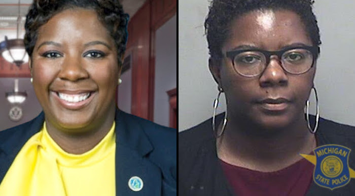 Michigan State Police have arrested a celebrated Democratic Party official on multiple felony charges relating to voter discrepancies.