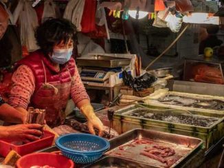 Bloomberg publishes article heaping praise on China's wet markets