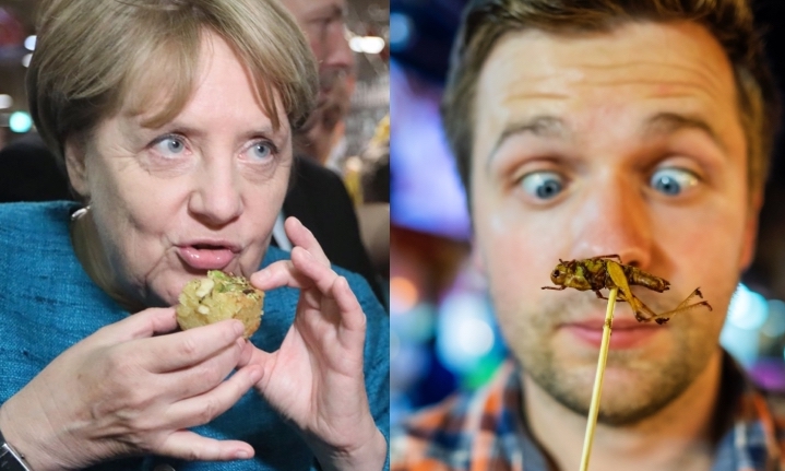 Europeans will soon be joining the Chinese in chowing down on bugs and insects, with the European Union set to permit the sale of locusts, crickets, grasshoppers, and mealworms as "food" for human consumption in the EU.