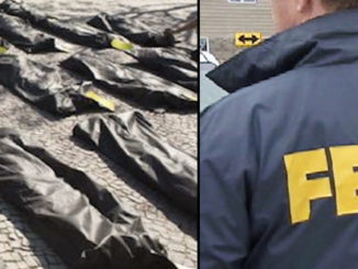 The Pentagon has placed an order for 100,000 green nylon body bags as government experts predict the coronavirus will claim the lives of more than 200,000 Americans.