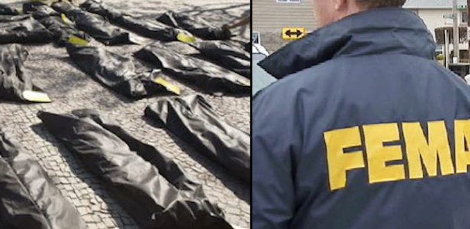 The Pentagon has placed an order for 100,000 green nylon body bags as government experts predict the coronavirus will claim the lives of more than 200,000 Americans.