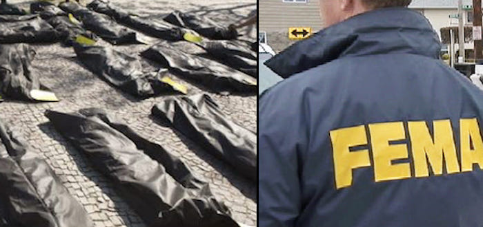 The Pentagon has placed an order for 100,000 green nylon body bags as government experts predict the coronavirus will claim the lives of more than 200,000 Americans.