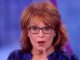 Joy Behar calls armed lockdown protesters terrorists