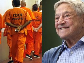 A George Soros-funded organization has assisted a number of felons, including a pedophile and a child molester, to walk free from jail to protect them from catching the coronavirus.