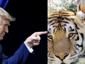 President Donald Trump has vowed to look at pardoning Joe Exotic, the star of the hit Netflix series 'Tiger King' who is serving 22 years behind bars in a federal prison for a murder-for-hire plot.