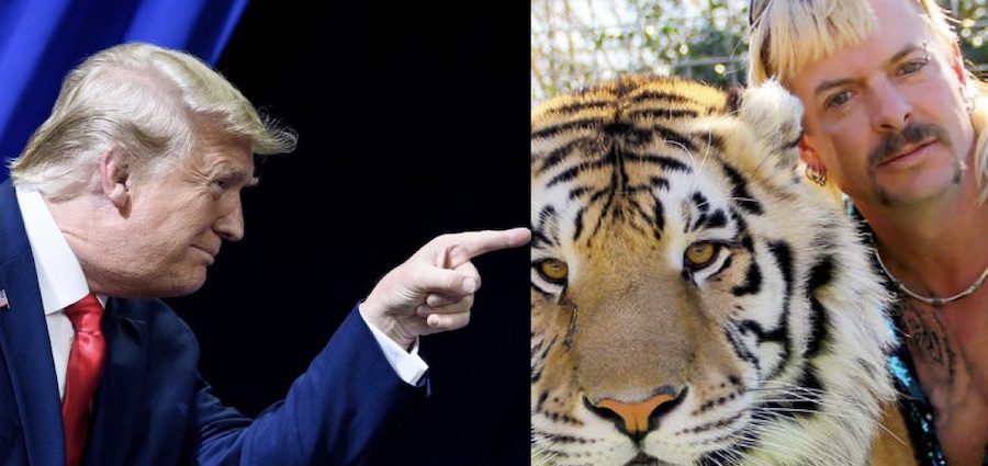 President Donald Trump has vowed to look at pardoning Joe Exotic, the star of the hit Netflix series 'Tiger King' who is serving 22 years behind bars in a federal prison for a murder-for-hire plot.