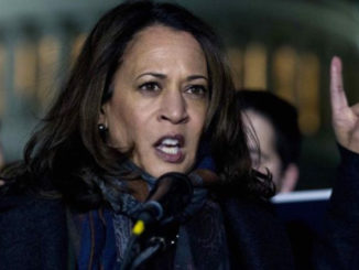 Kamala Harris says President Trump is responsible for coronavirus body bags